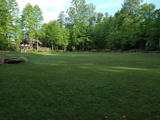 The Wells Cashiers主图