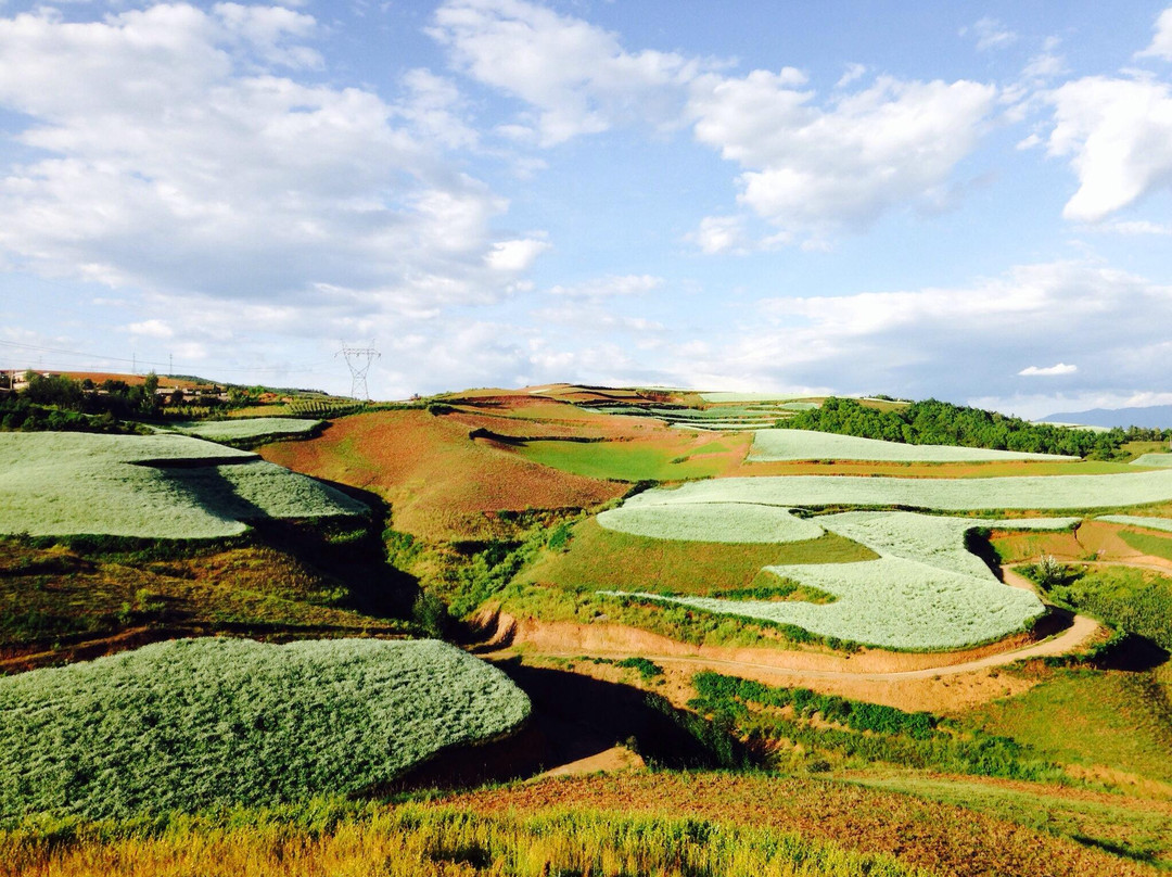 东川红土地景点图片