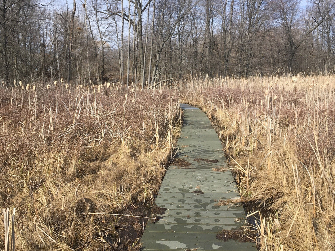 Bishop’s Bog Preserve Trail景点图片