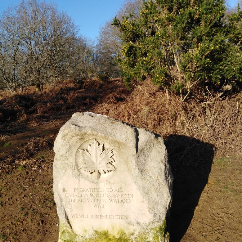 Milford旅游攻略图片