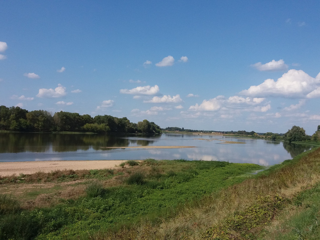 Saint-Benoit-sur-Loire旅游攻略图片