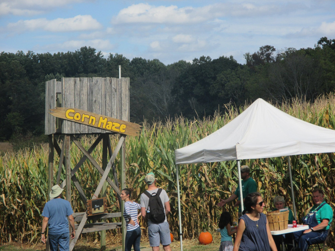 Agricultural History Farm Park-Derwood必去景点