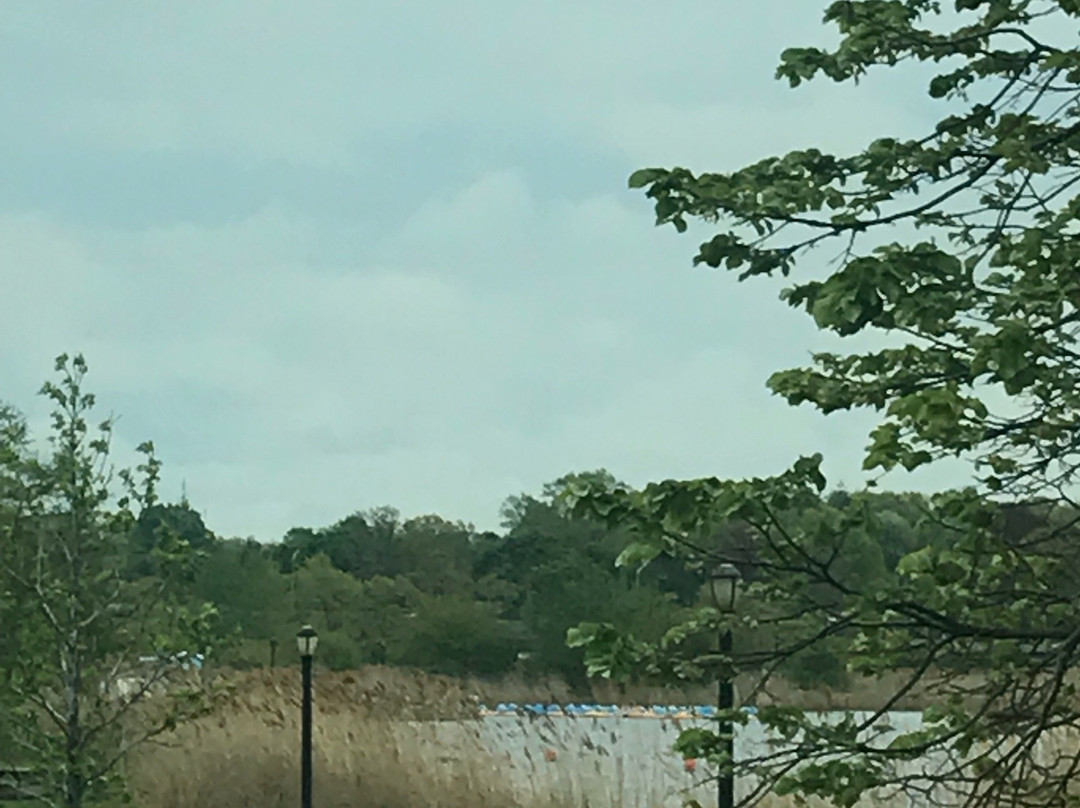 Richmond Hill旅游攻略图片