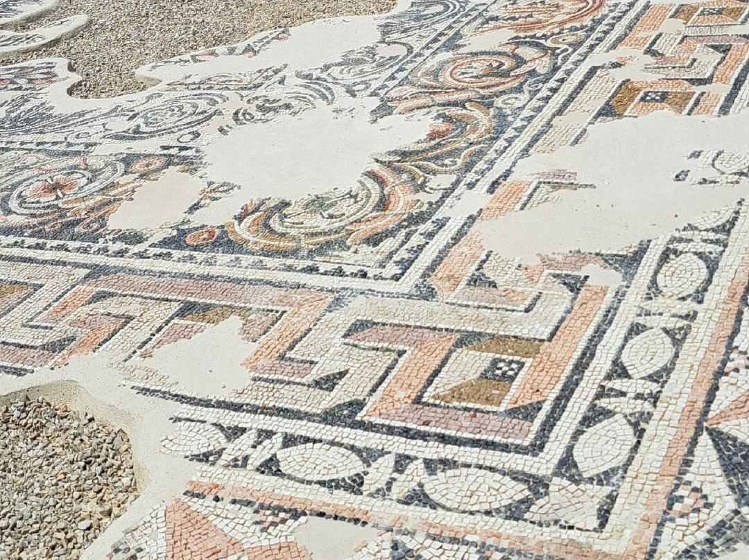 Archaeological Collection Of Sami-萨米必去景点