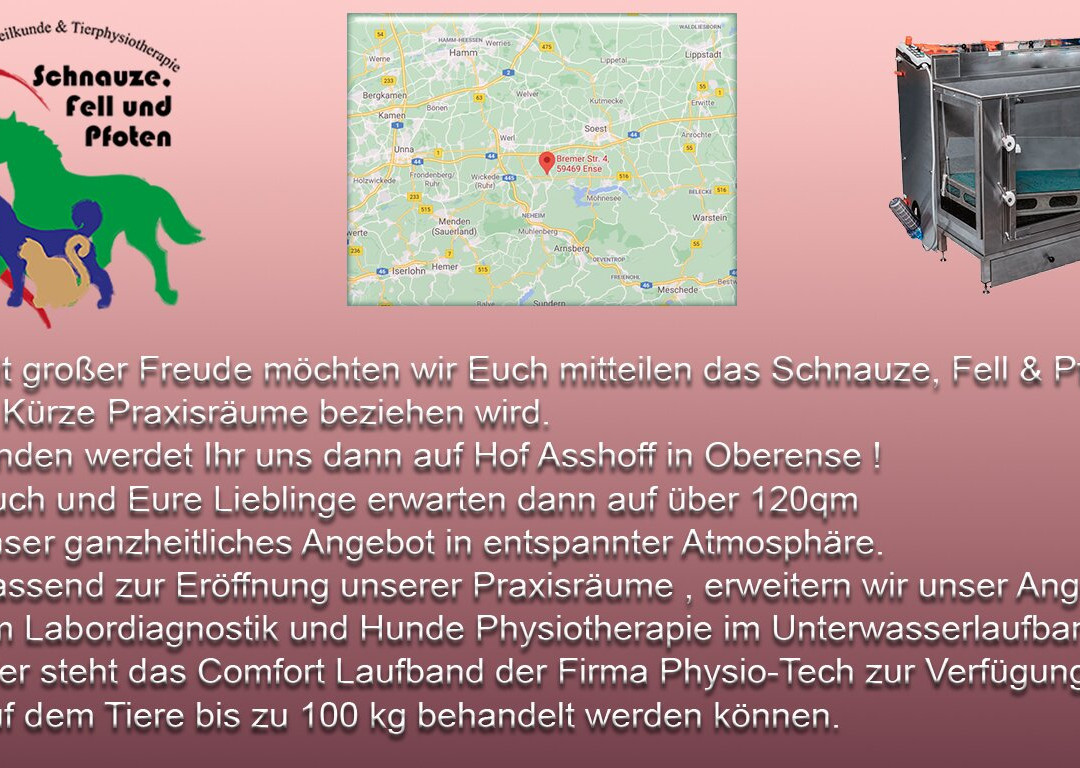 Ense旅游攻略图片