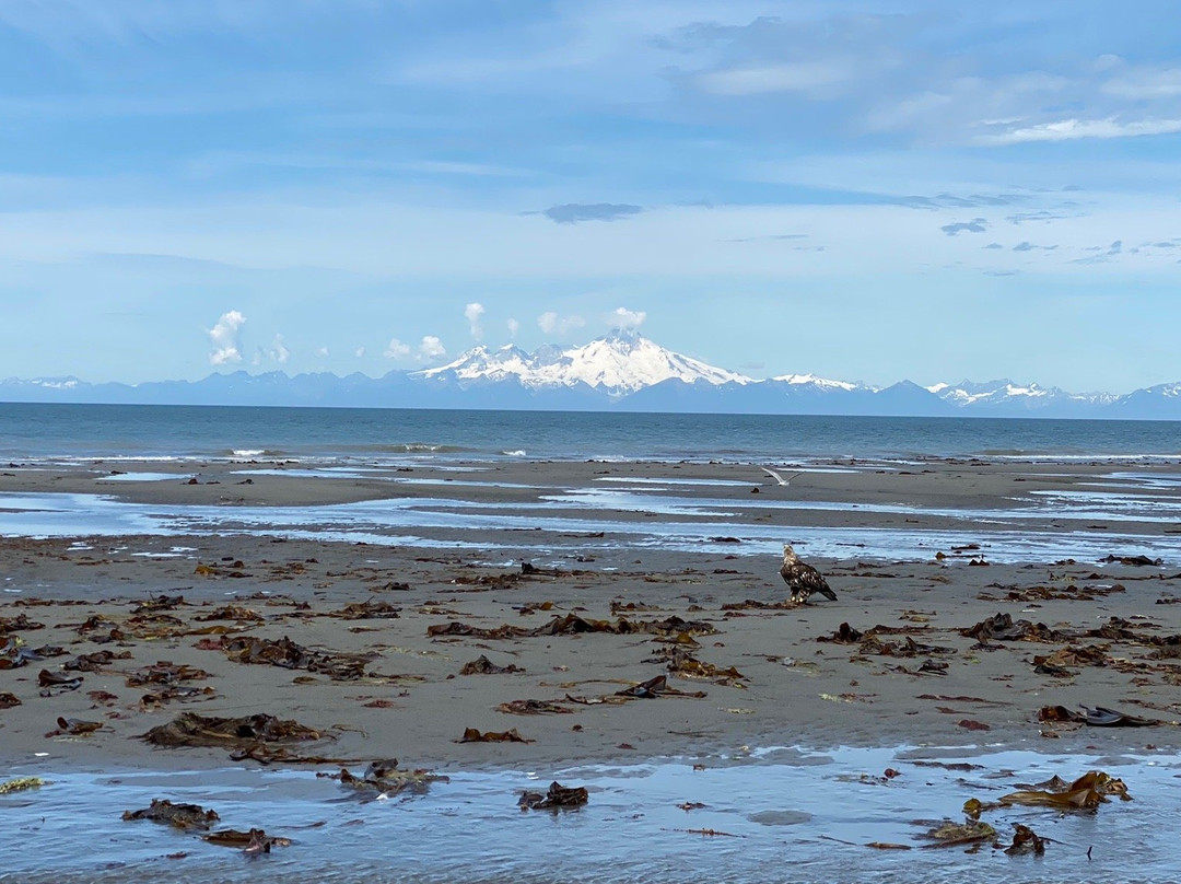 Moose Trail ATV Adventures-索尔多特纳必去景点
