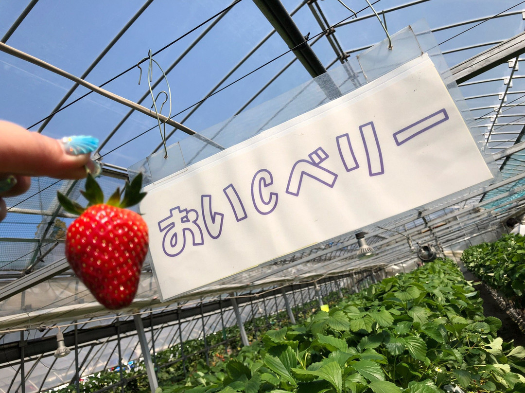 Yasuda Strawberry Farm景点图片