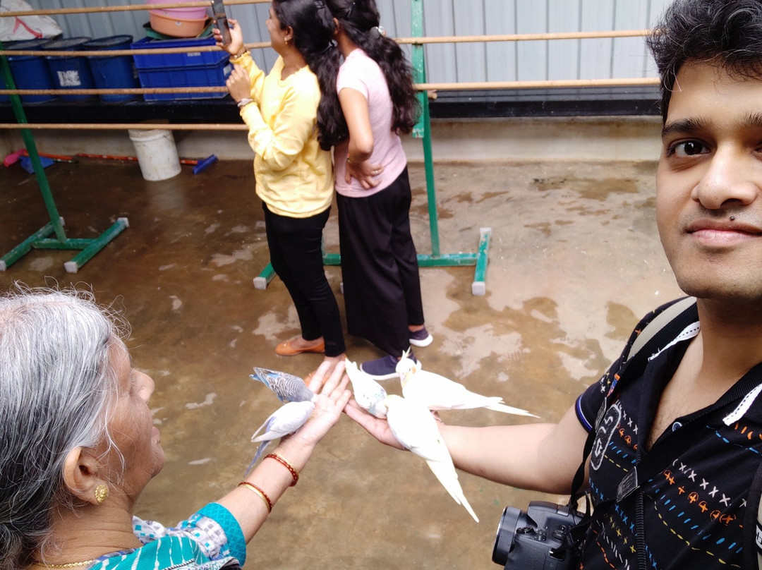 Nisargadhama Exotic Bird Park