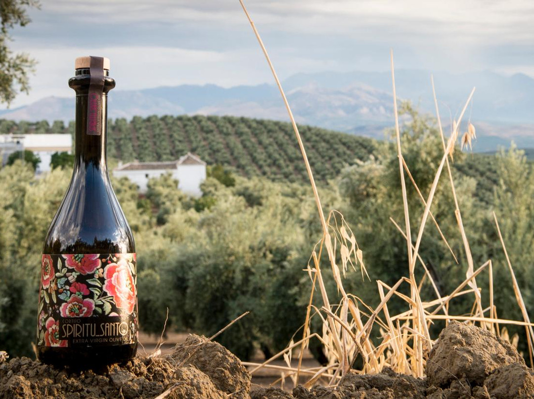 乌维达旅游景点-Cortijo Spiritu Santo