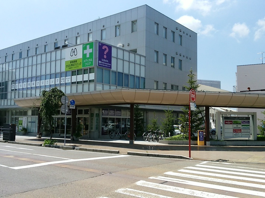 Shibata Tourist Information Center景点图片