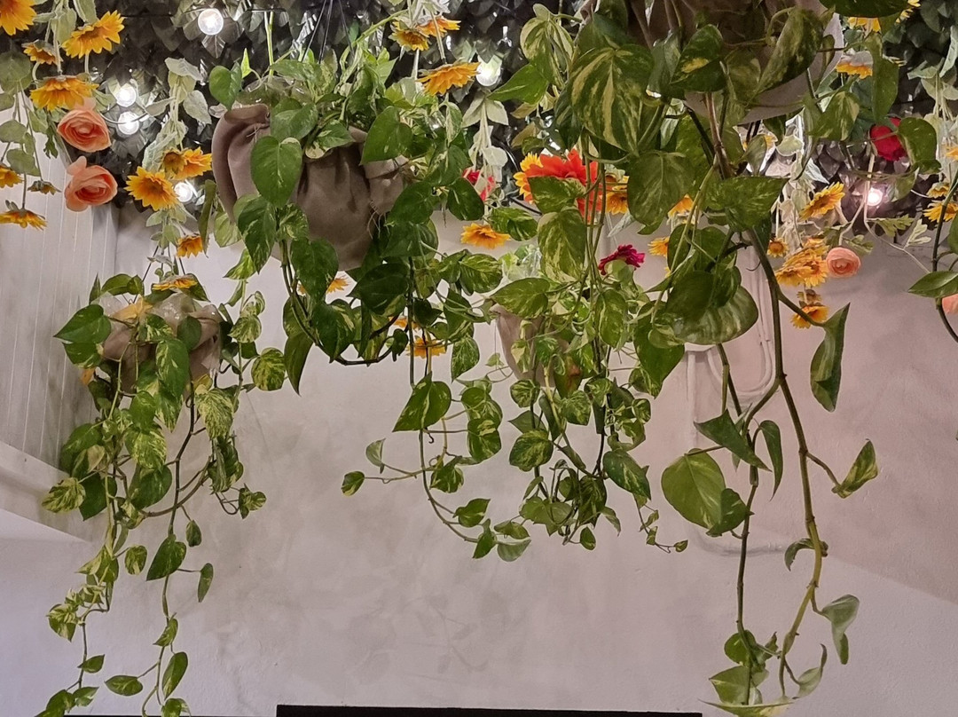 Alchimia cocktail bar-Ruffano必去景点