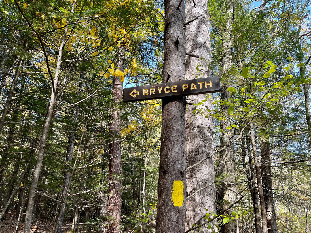 Bryce Path