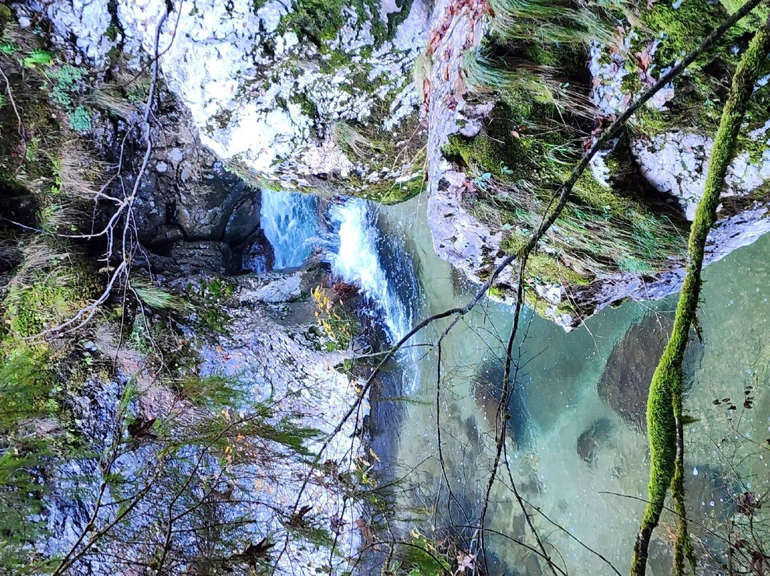 Izbucul Tauzului