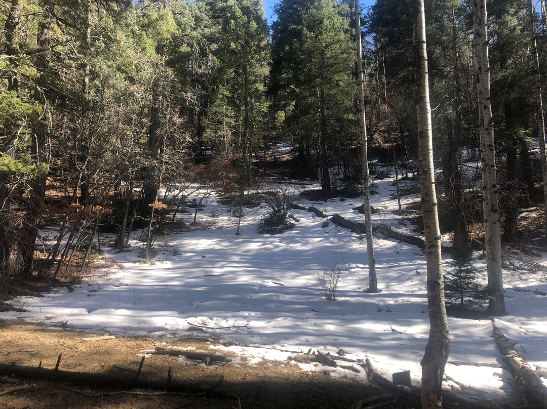 Osha Trail-Cloudcroft必去景点