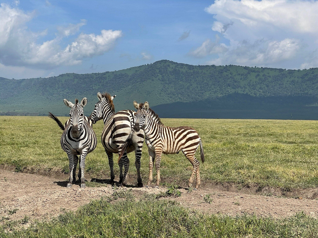 Zanzi inn tours & safari-桑给巴尔市必去景点