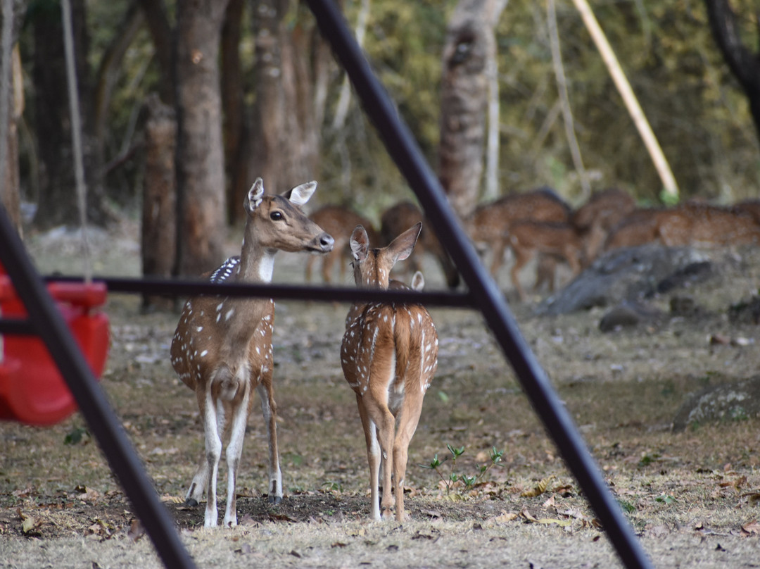 丛林小屋酒店主图