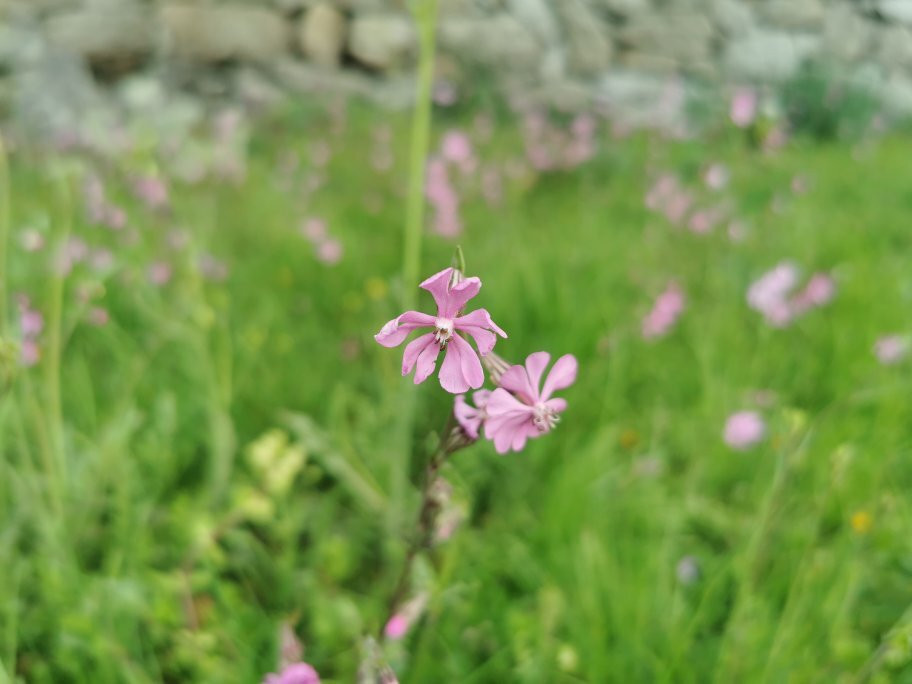 Mirador De La Calle Del Canal-Galapagar必去景点