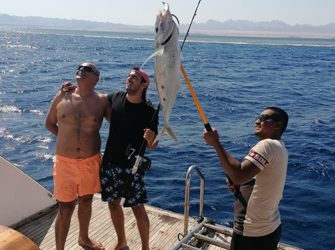 Nemo-Port Safaga必去景点