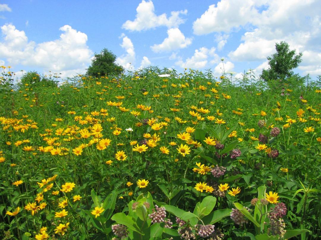 Governor Nelson State Park-Waunakee必去景点