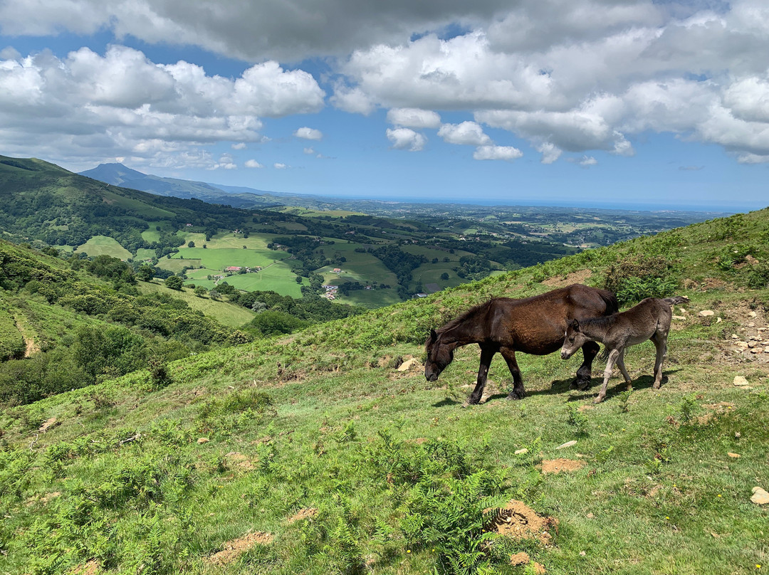 Hotel Restaurant Txistulari主图