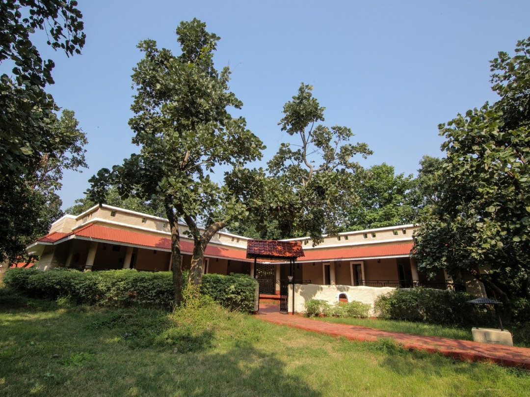 Bundela Bandhavgarh by Octave主图