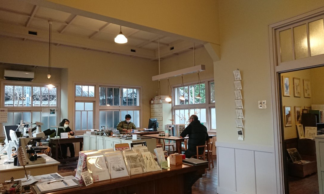 Hattori Botanical Laboratory-日南市必去景点