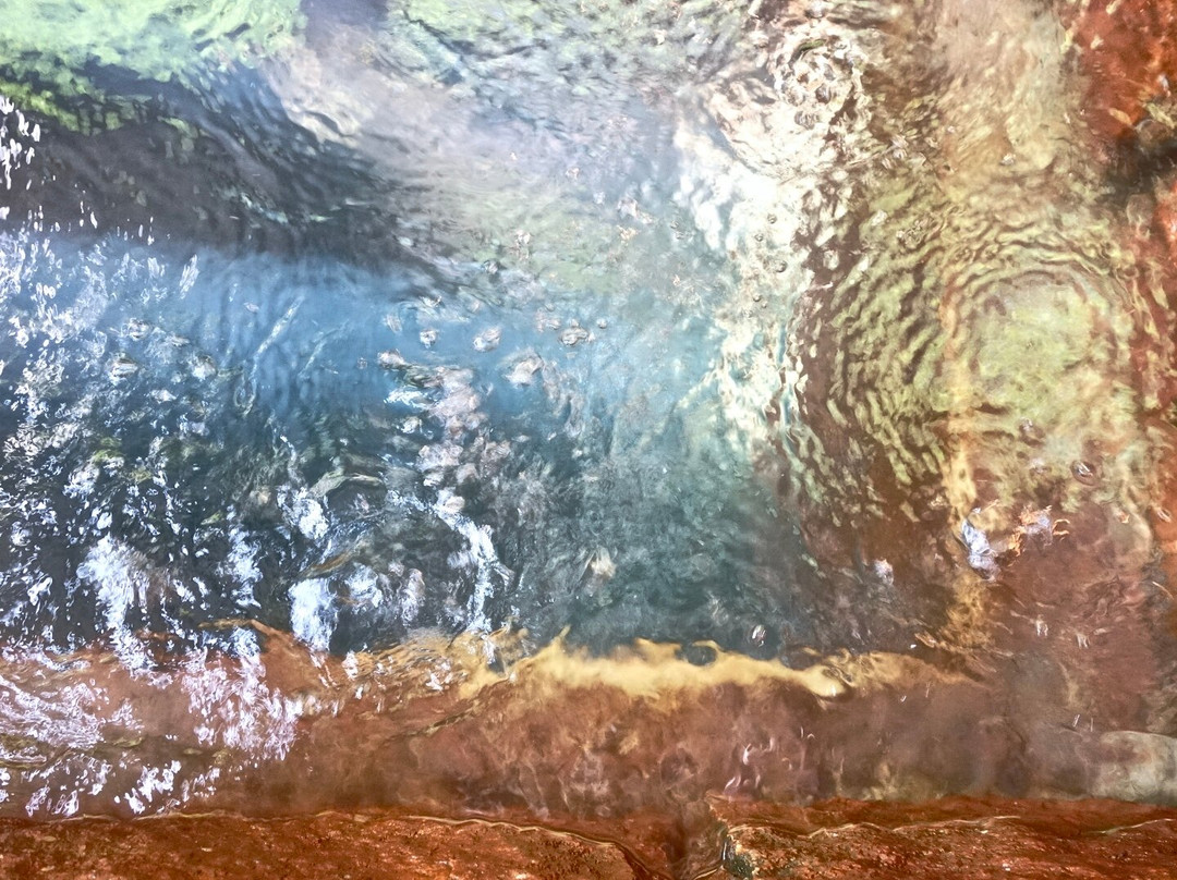 Oshio Natural Carbonated Water景点图片