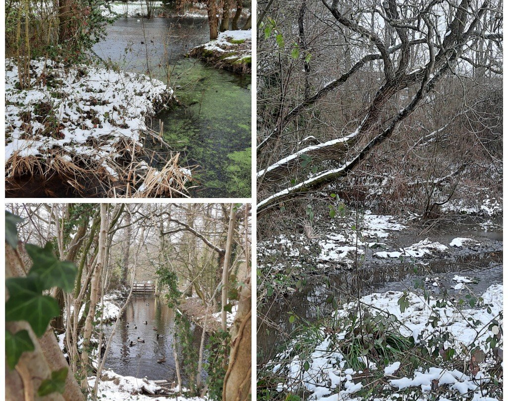 Parc de Brequigny景点图片