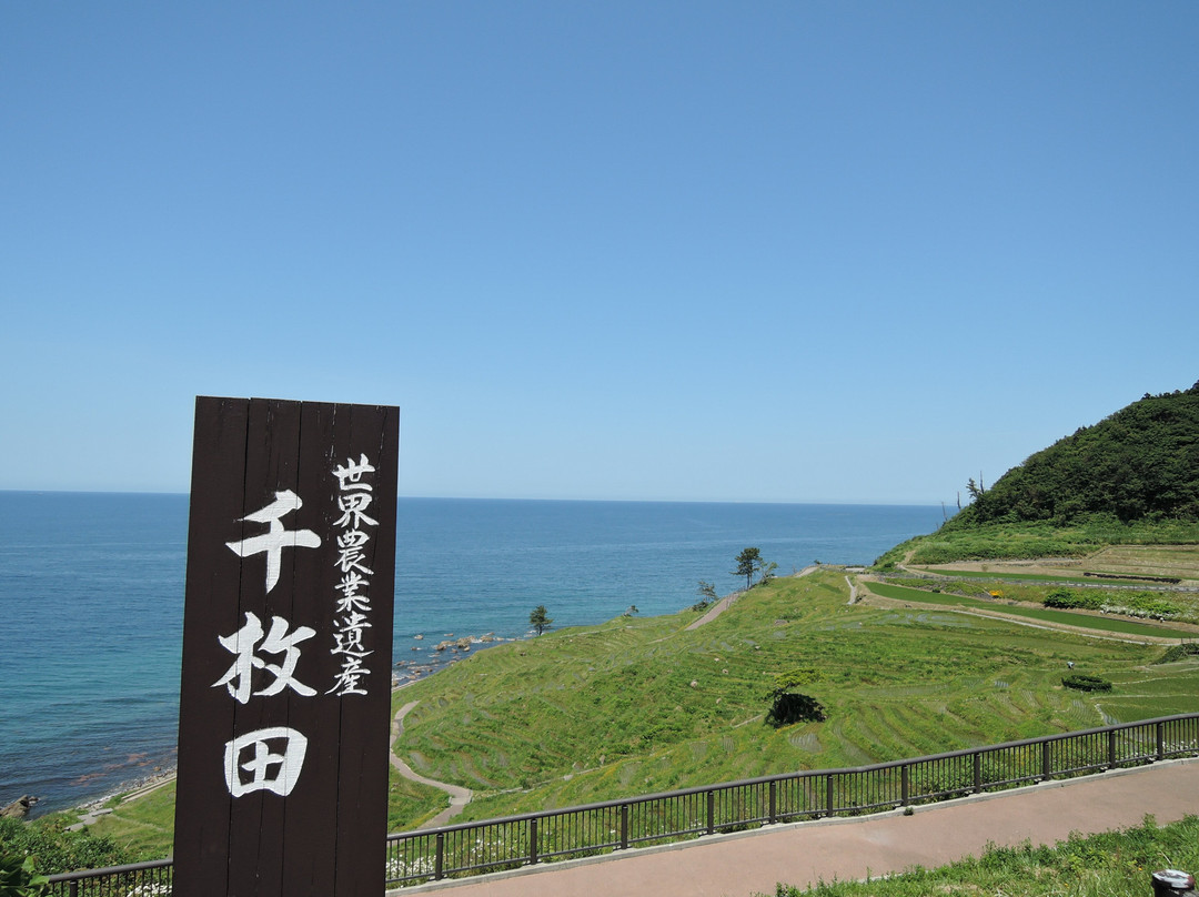 Michi-no-Eki Senmaida Pocket Park景点图片