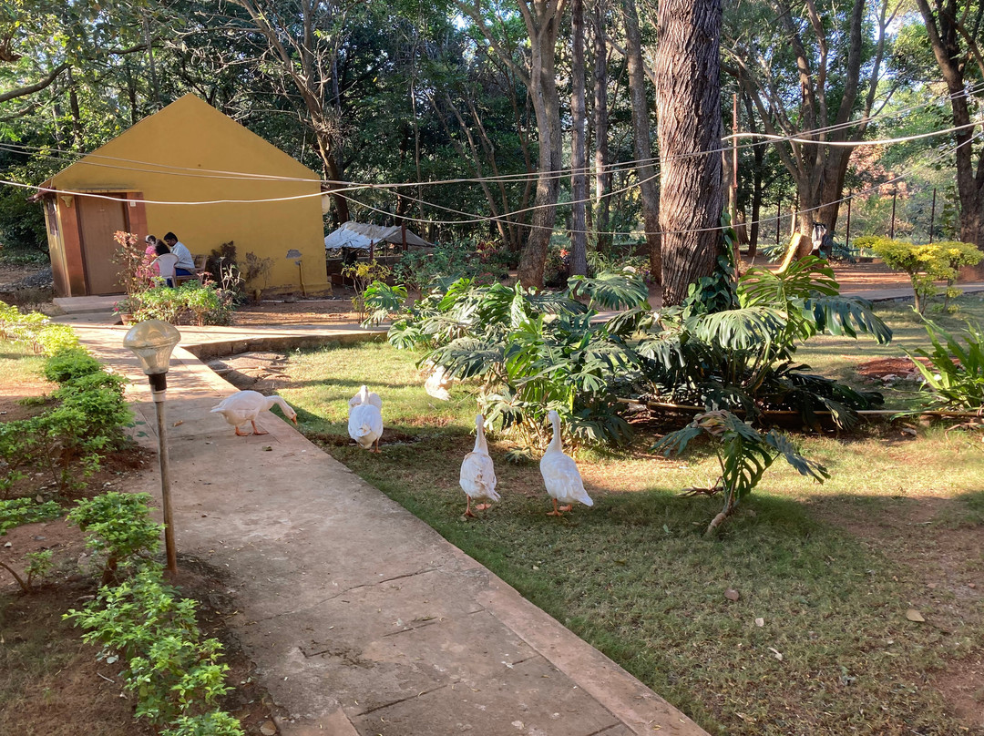 Zeenath Taj Gardens Yelagiri主图