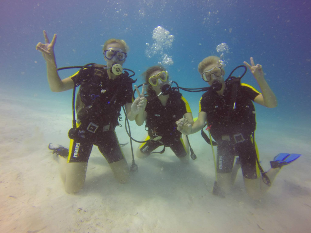 Scuba Divine Maldives - Dhiffushi-Dhiffushi Island必去景点