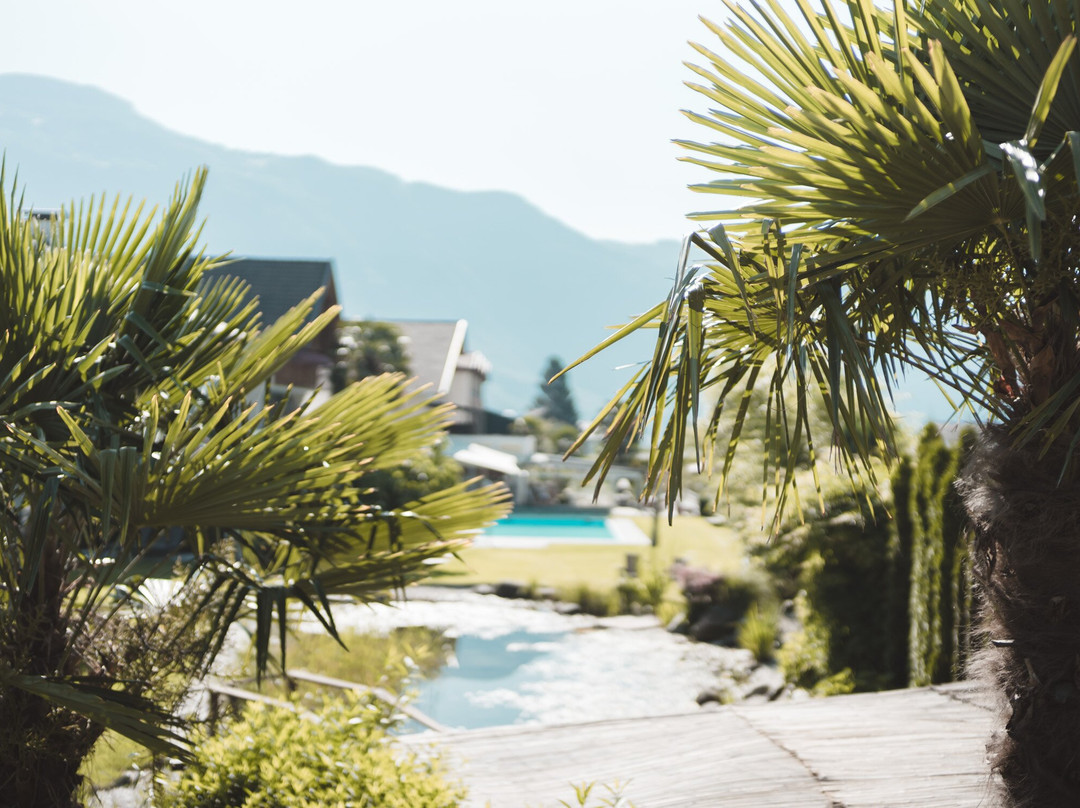 Im Tiefenbrunn主图