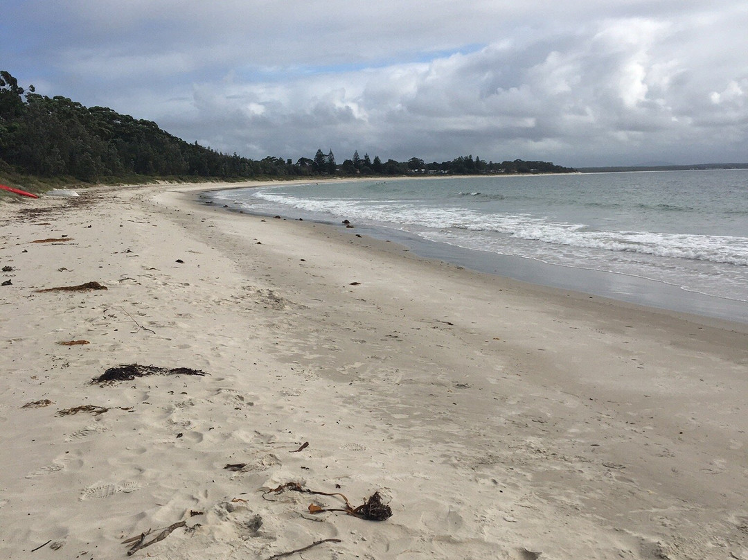 Blenheim Beach景点图片