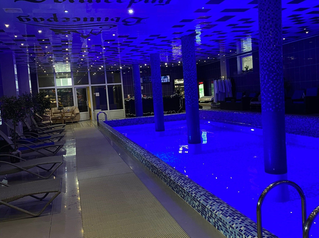 Vyshegrad Castle Hotel主图