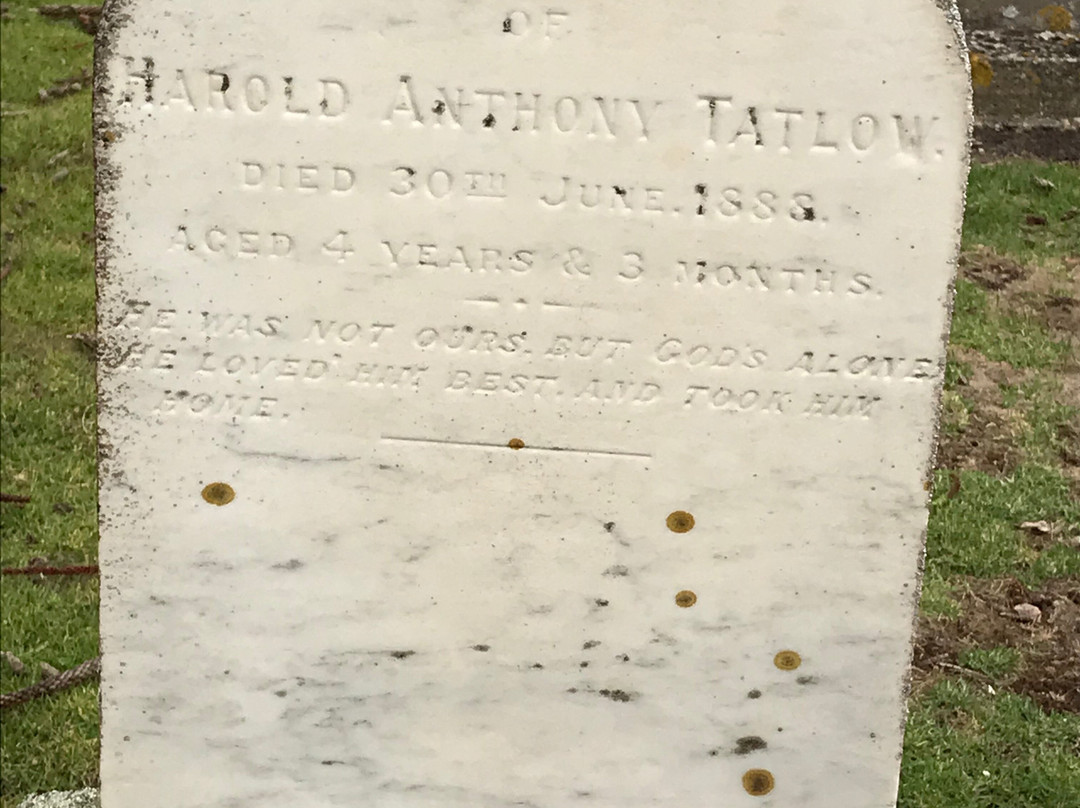 Stanley Cemetery-斯坦利必去景点