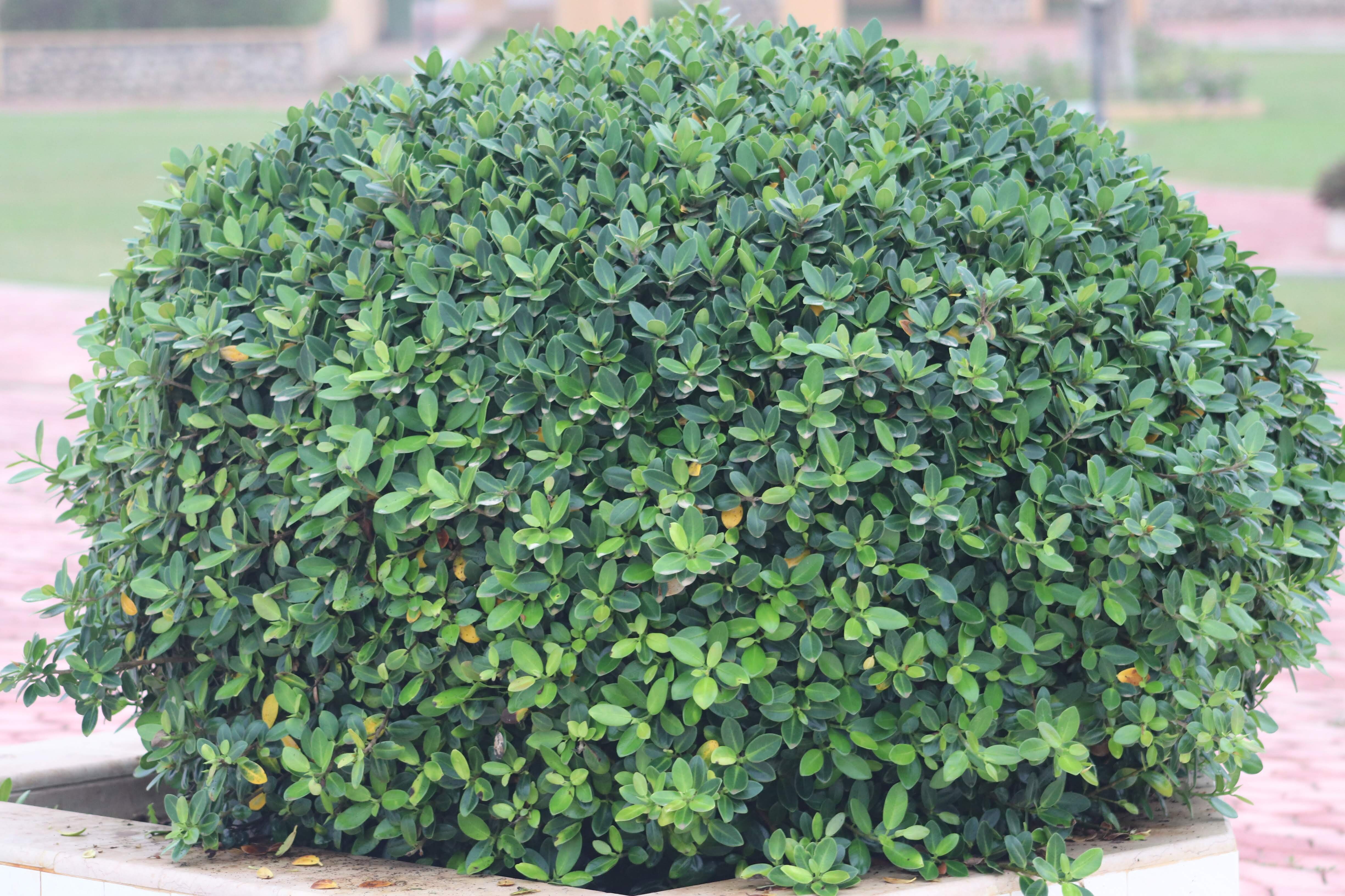 Samharam Resorts-浴室