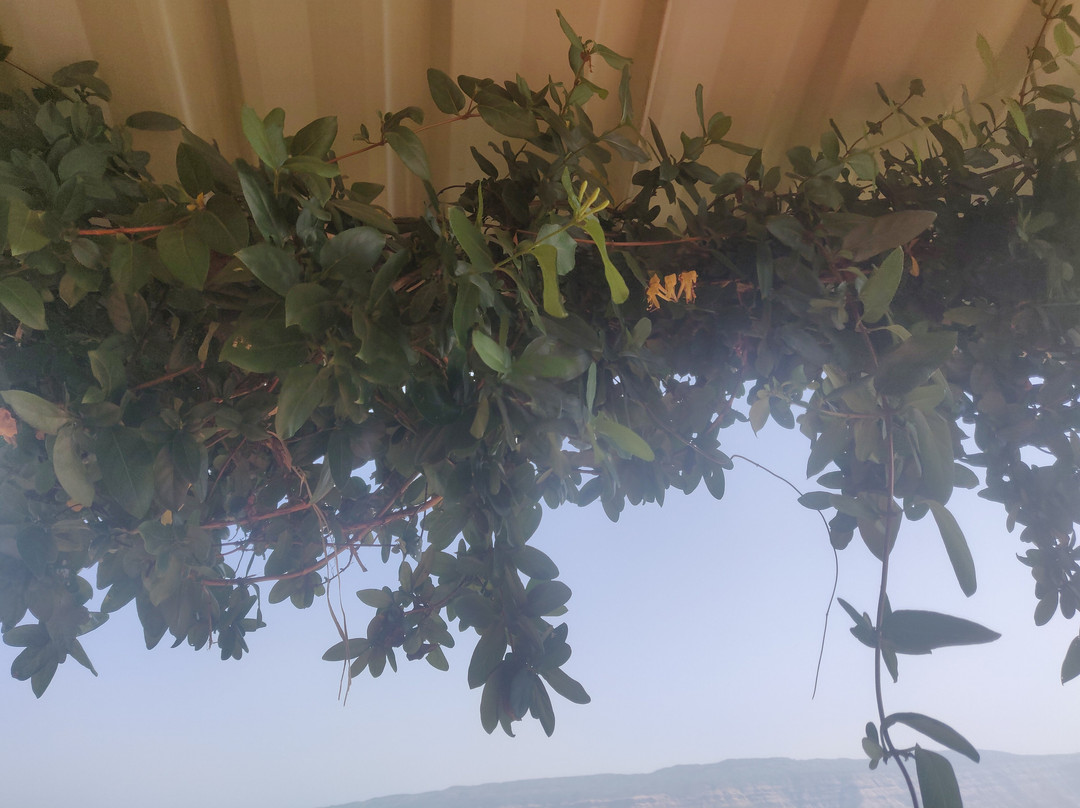 Krushna Valley Home Stay主图