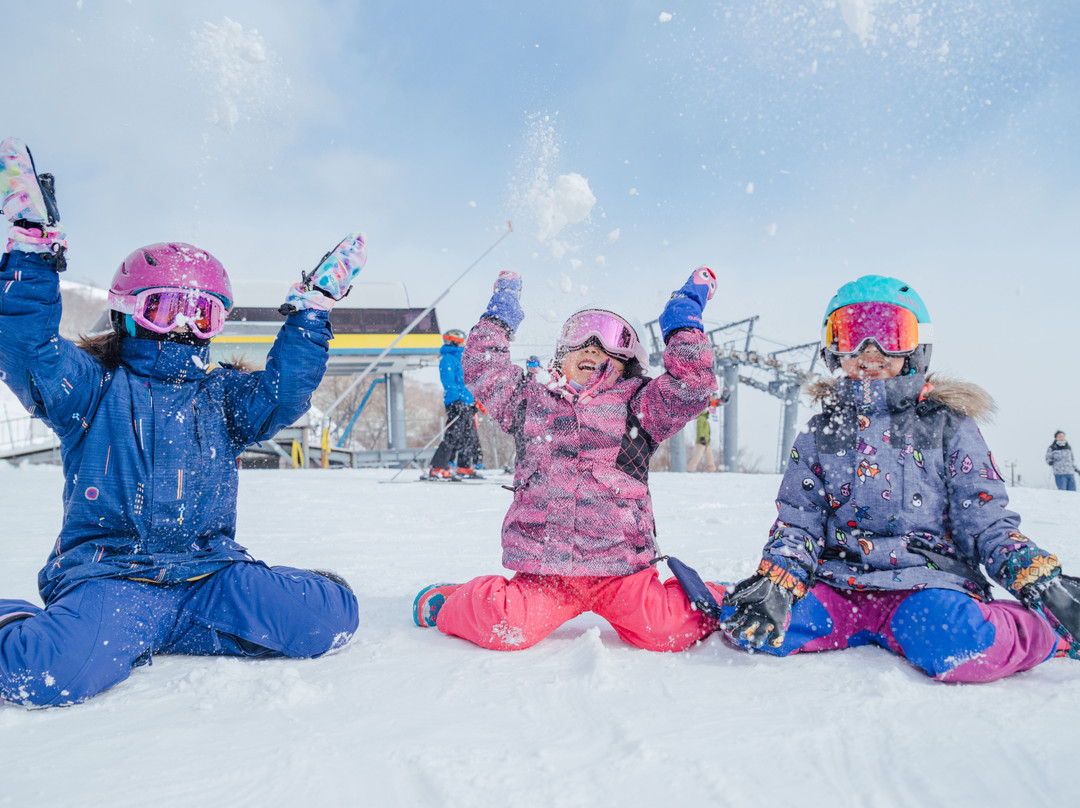Dynaland Snow Resort-郡上市必去景点