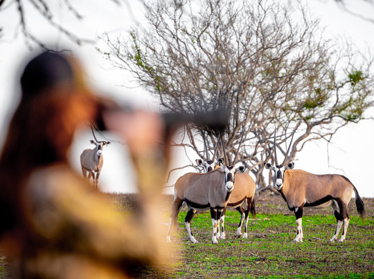 Voyager Safari-圣安东尼奥市必去景点