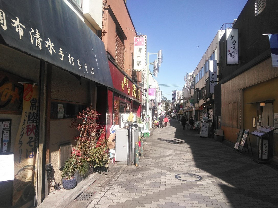 Tenjindori Shotengai-调布市必去景点
