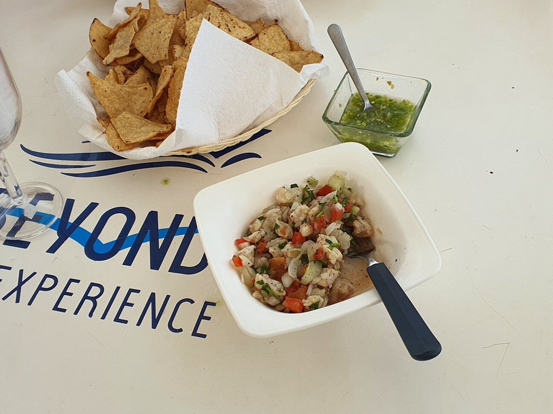 Beyond the experience-阿范特拉斯港必去景点