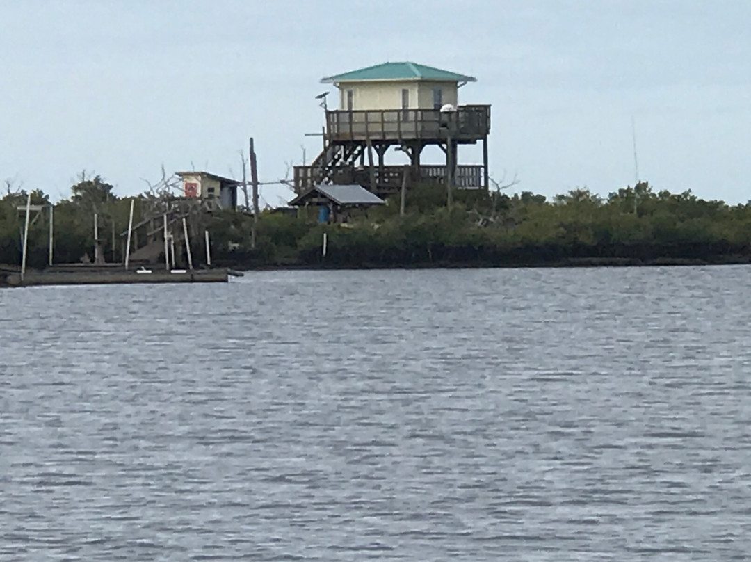 Homosassa River-Homosassa必去景点