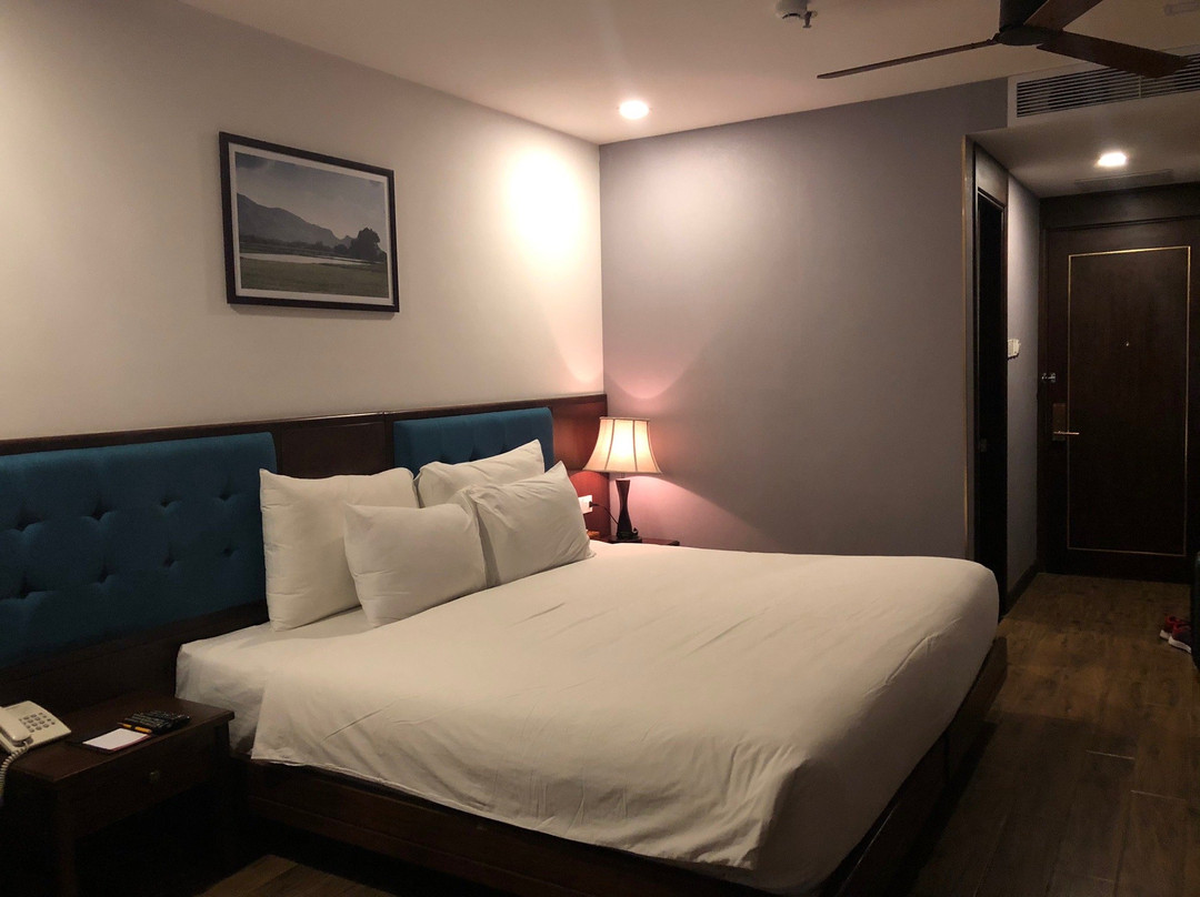 岘港白雪酒店主图