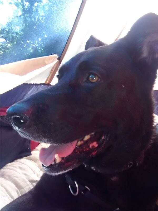 Raven Rock State Park-Lillington必去景点