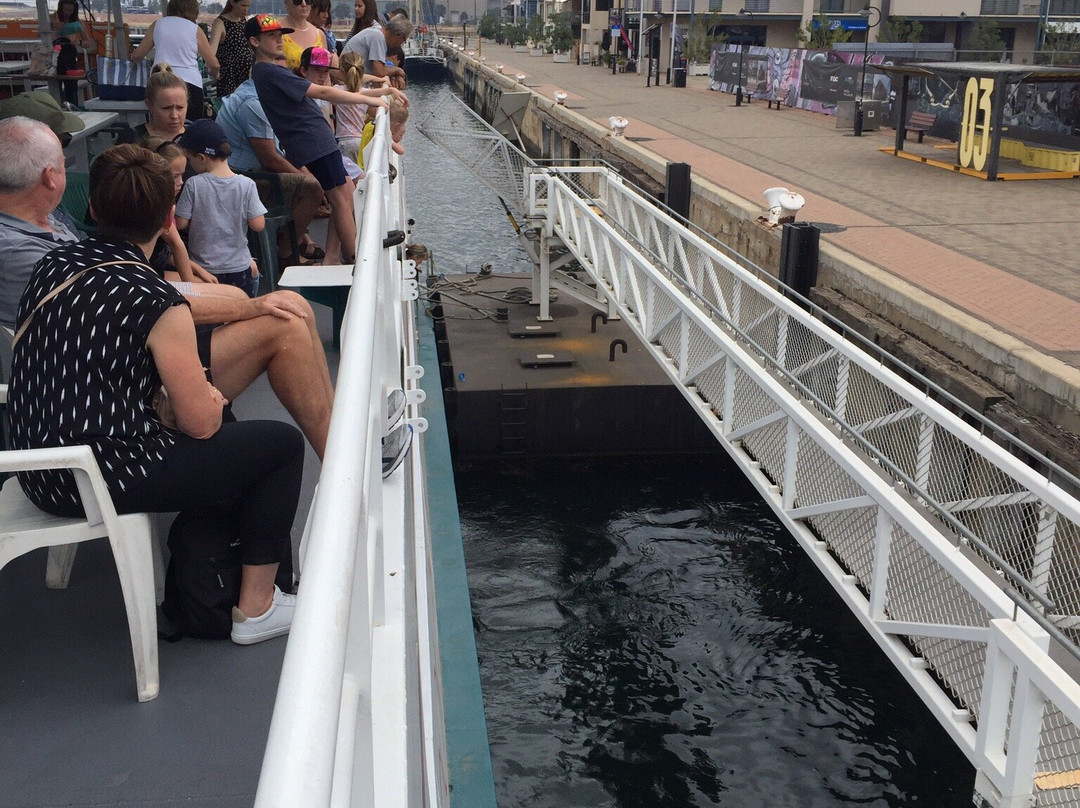 Dolphin Explorer Cruises-Port Adelaide必去景点