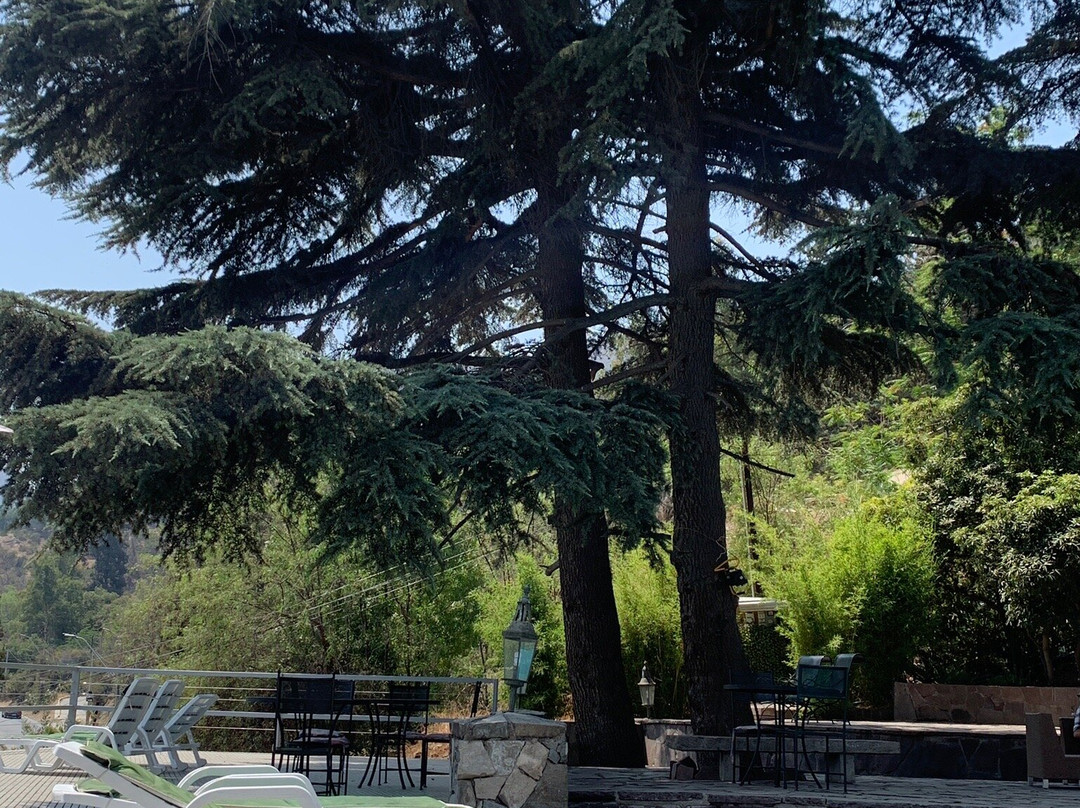 Casa Arrayan Hotel Boutique主图