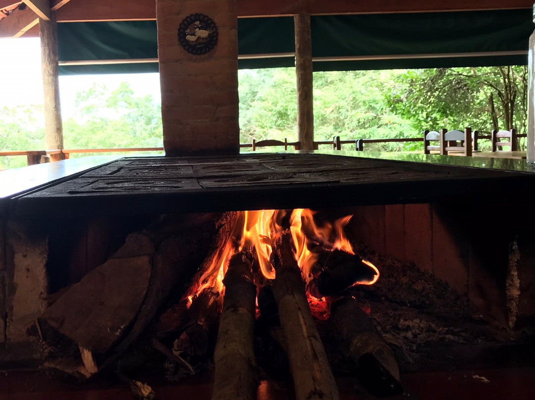 Bicho Mania-Cotia必去景点