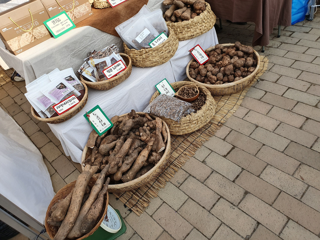 Gonjiam Ceramic Park-光州市必去景点