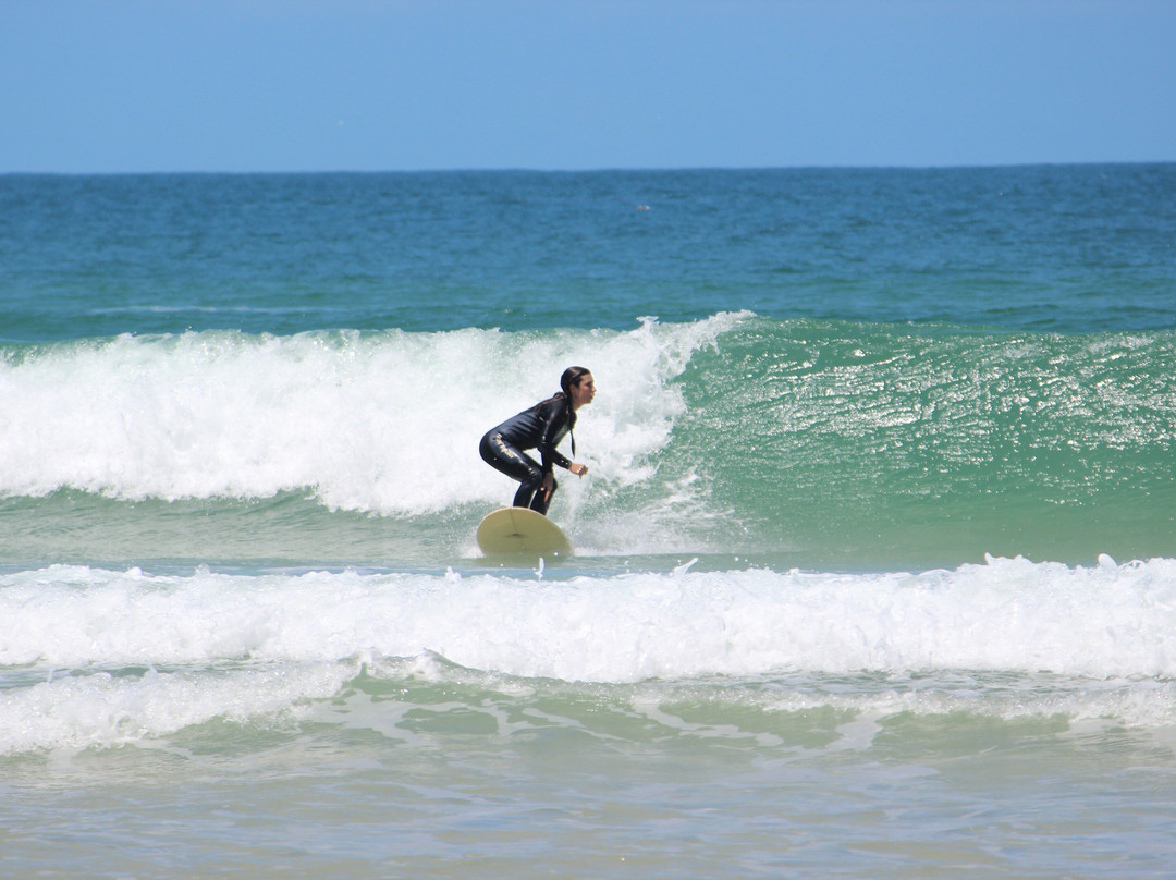 Sea Wolf Surf School-弗洛里亚诺波利斯必去景点
