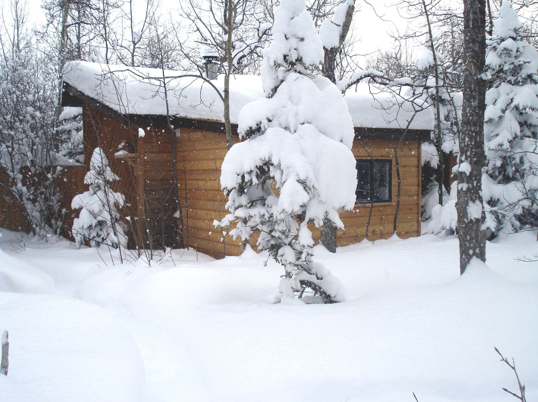 Stepping Stone Cabins主图